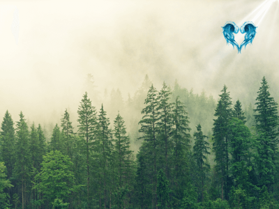 Swiety-spokoj-czy-ucieczka